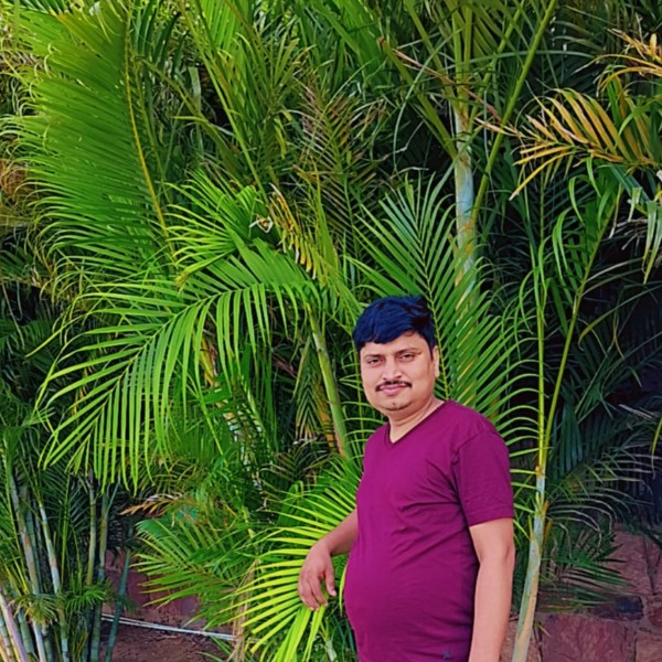The magenta weddings  - Professional Photographer in Prayagraj